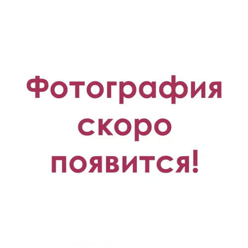 КР-л-пу-1НФ-250х120х65-Ладога ФЛЭШ-М200