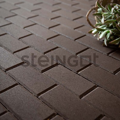 Тротуарная плитка Прямоугольник 200*100*60 Темно-коричневый (верхний прокрас)